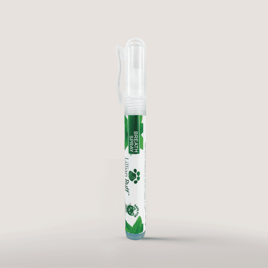 Breath Spray - Travel