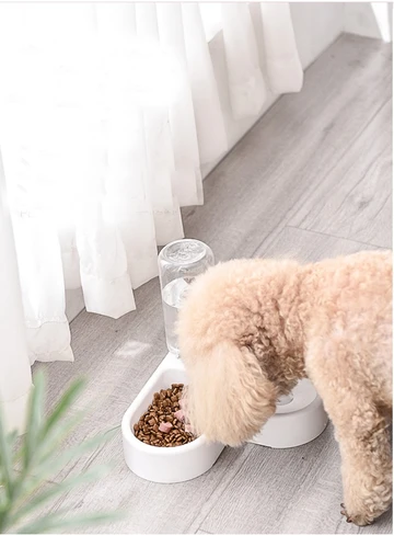 Dual-Use Cat and Dog Double Bowl with Non-Wet Design