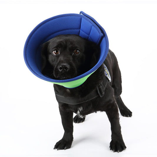 Transparent Anti-Bite Recovery Collar for Pets